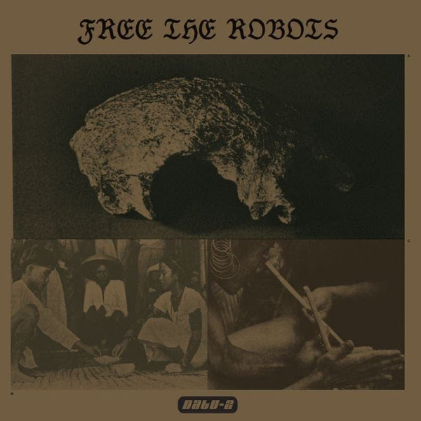 Free The Robots - Datu 2 (LP) Besides Records