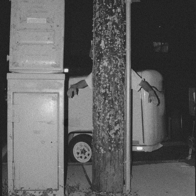 Paper Tiger All Over The Place (LP, CD)