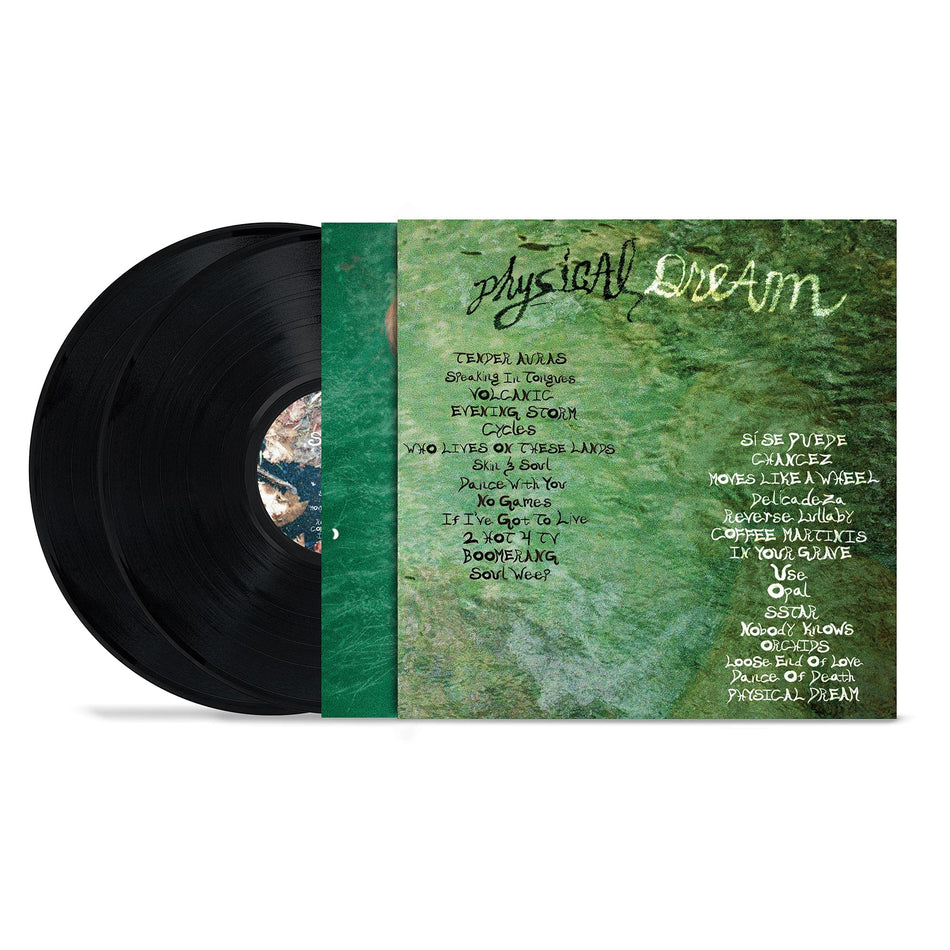 Sam Blasucci - Physical Dream (2xLP) Doubleplay Records / Calico Discos