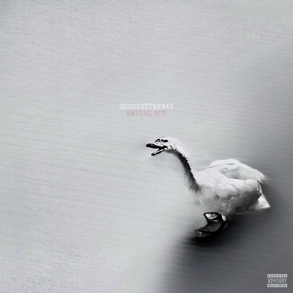 Goosebytheway - Nature Boy (LP - White Vinyl) Drumwork Music Group LLC