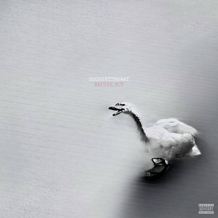 Goosebytheway - Nature Boy (LP - White Vinyl) Drumwork Music Group LLC
