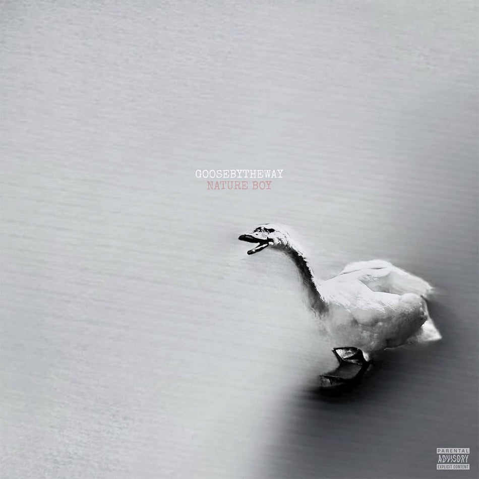 Goosebytheway - Nature Boy (LP - White Vinyl) Drumwork Music Group LLC