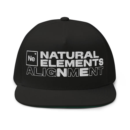 Natural Elements – ALIGNMENT CD + Snapback Bundle Fat Beats