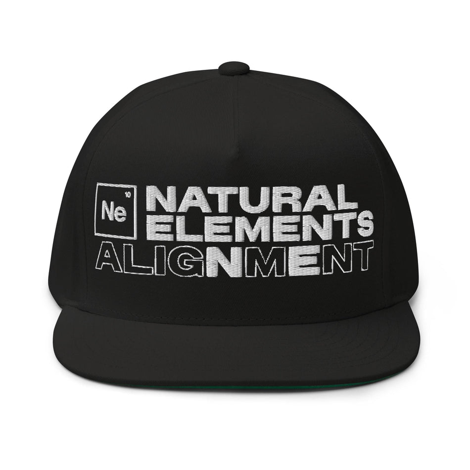 Natural Elements ALIGNMENT Snapback Fat Beats
