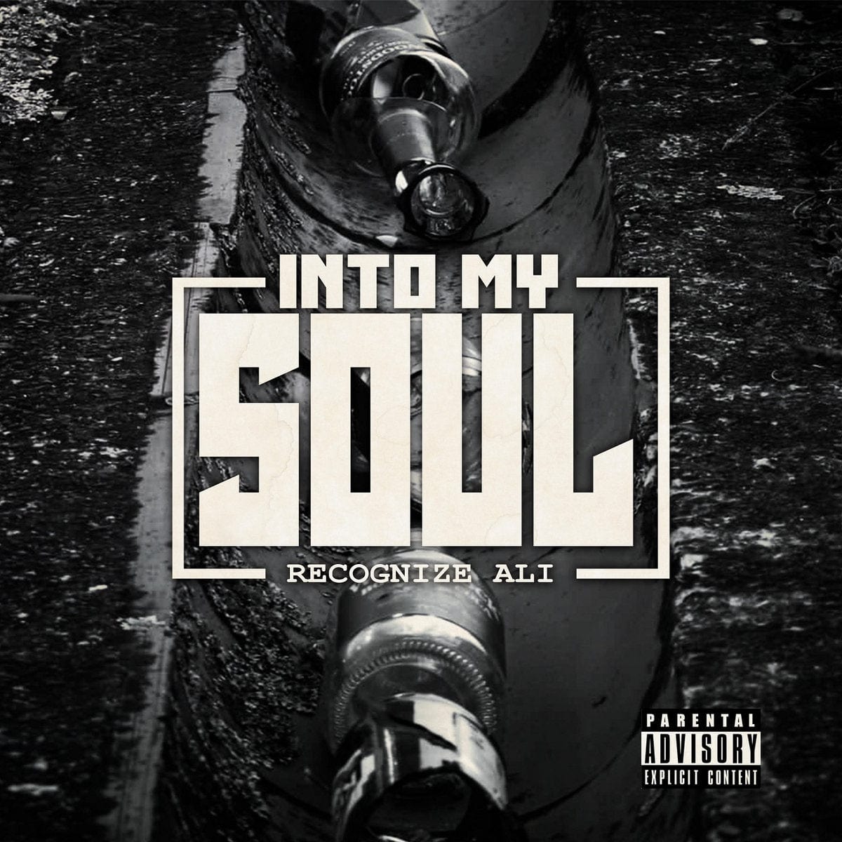 Recognize Ali - Into My Soul (LP) Fat Beats