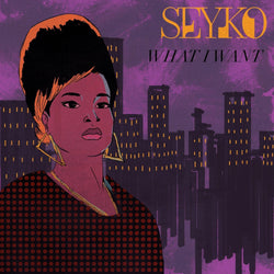 SEYKO - What I Want (Digital Single) Groove King Records