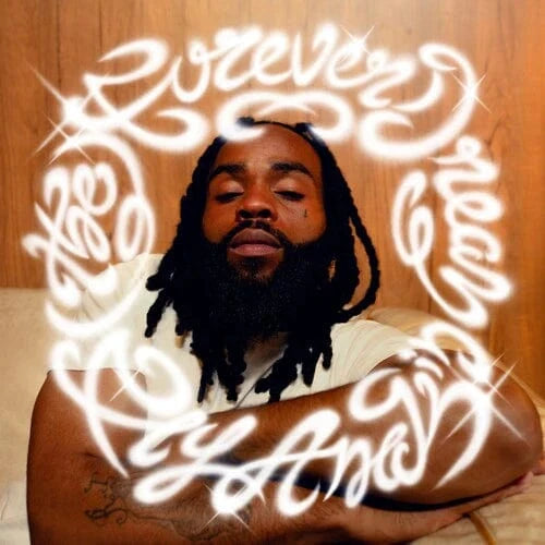 Fly Anakin - The Forever Dream (2xLP - 180g Blue Vinyl) Lex Records