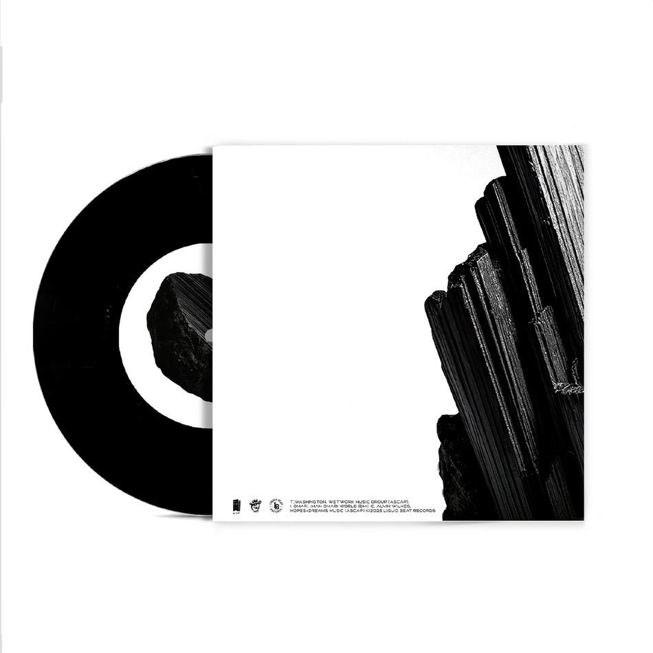Theory Hazit - At All ft. Iman Omari b/w At All (STLNDRMS Remix) (7" - Black Vinyl) LIQUID BEAT RECORDS
