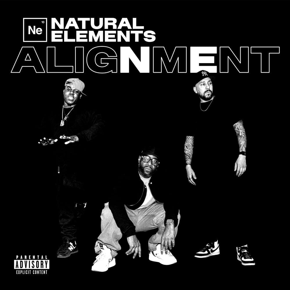 Natural Elements - ALIGNMENT (LP, CD, Cassette) NE4LIFEnt LLC
