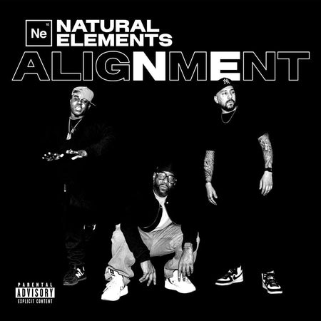 Natural Elements - ALIGNMENT (LP, CD, Cassette) NE4LIFEnt LLC