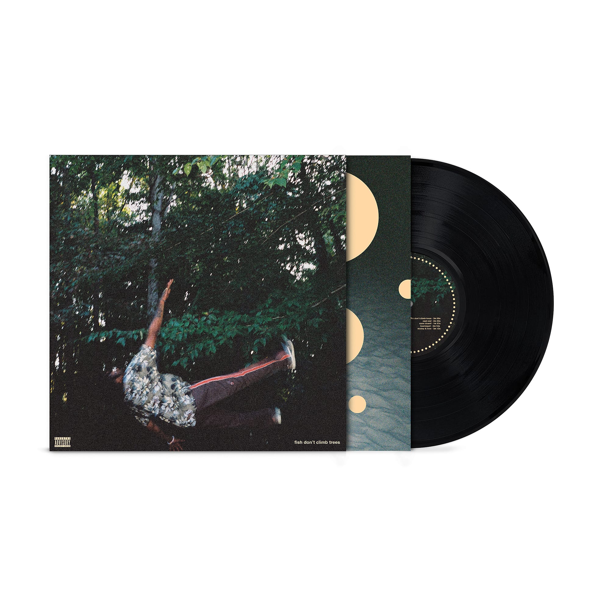 Chester Watson - fish don't climb trees (LP - Black Vinyl) POW RECORDINGS