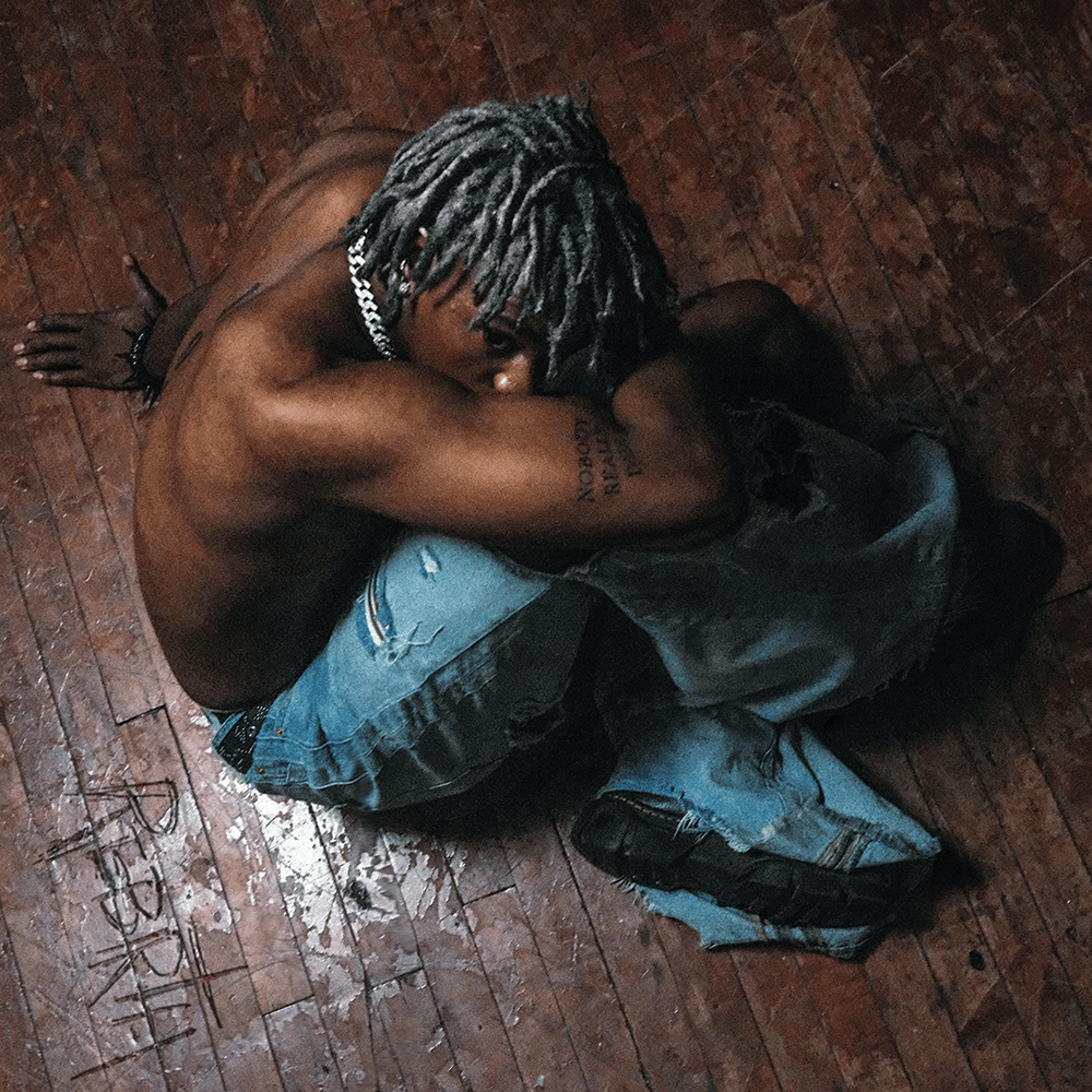 DC The Don - REBIRTH (CD) Rostrum Records