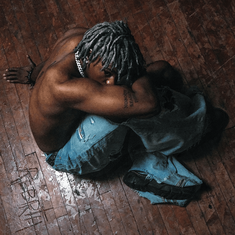 DC The Don - REBIRTH (CD) Rostrum Records