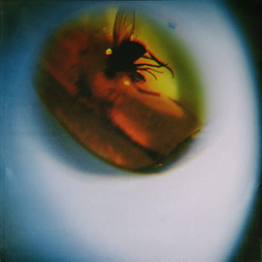 April + VISTA - Traditional Noise (LP - Translucent Fly Green) Third & Hayden