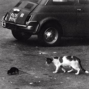 Conway The Machine & Wun Two - Palermo (LP - Glow In The Dark Vinyl Edition) Vinyl Digital