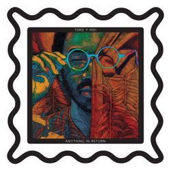 Toro y Moi - Anything In Return (LP - Picture Disc) (10th Anniversary) Carpark Records