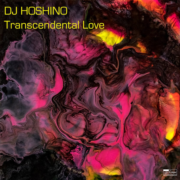 DJ Hoshino - Transcendental Love (LP) Critique
