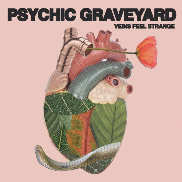 Psychic Graveyard - Veins Feel Strange (Digital) Deathbomb Arc