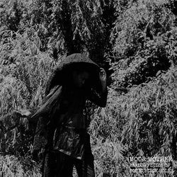 Moor Mother - Analog Fluids of Sonic Black Holes (LP + Download Card) Don Giovanni