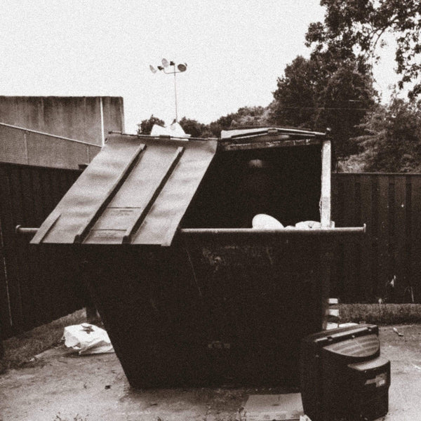 The Doppelgangaz - Dumpster Dive (LP) HHV.de