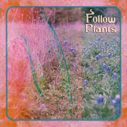Limalo - Follow Plants (Album) (Digital) (iN)Sect Records