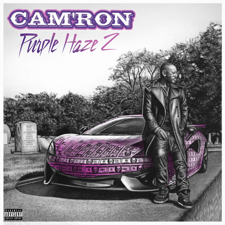 Cam'ron - Purple Haze 2 (2xLP - Purple Vinyl + "Purple Haze" Rolling Papers) Killa Entertainment