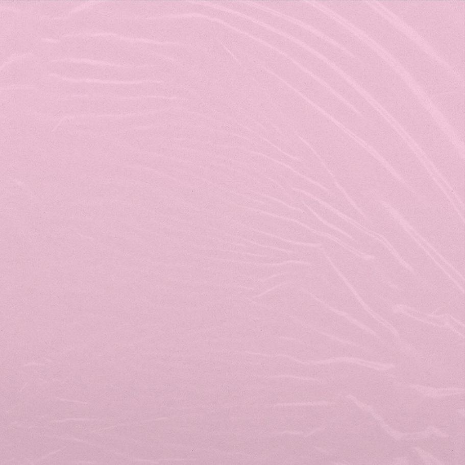 Cam'ron - The Program (LP - Clear Vinyl + Bandana) Killa Entertainment