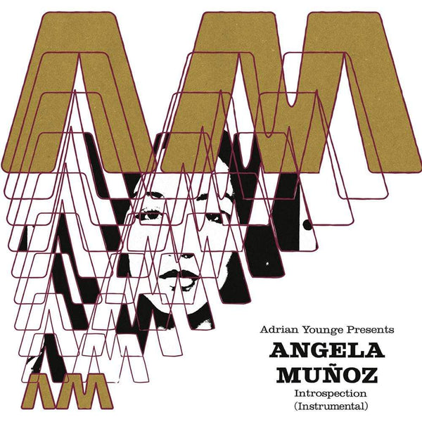 Angela Muñoz - Introspection (Instrumentals) (LP) Linear Labs