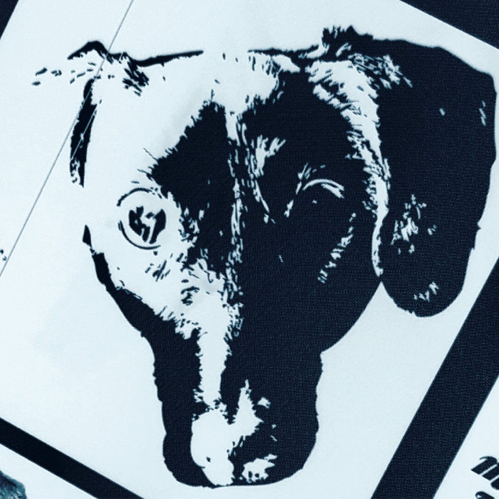 Michael Leonhart Orchestra - Denial b/w Anger (Picture Sleeve 7") Mighty Eye Records