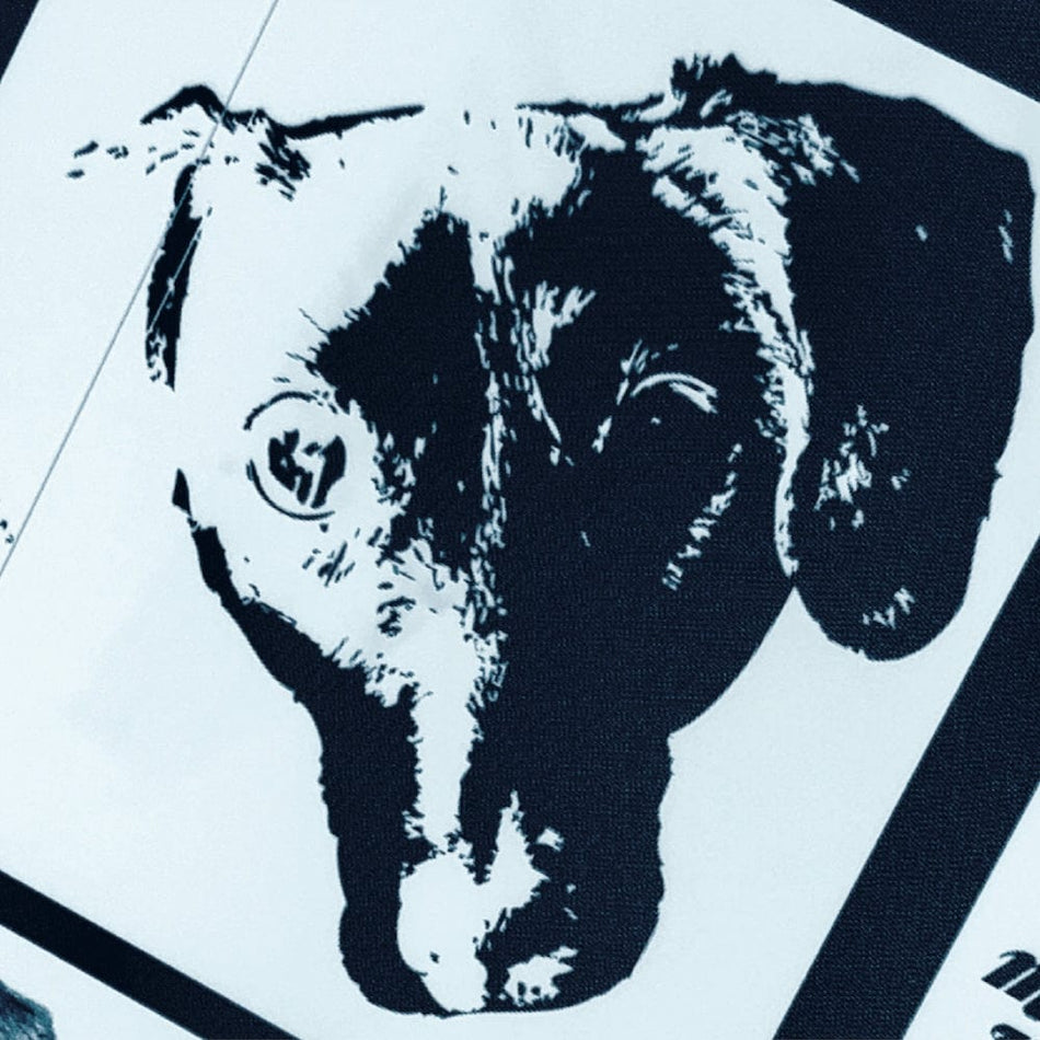 Michael Leonhart Orchestra - Denial b/w Anger (Picture Sleeve 7") Mighty Eye Records