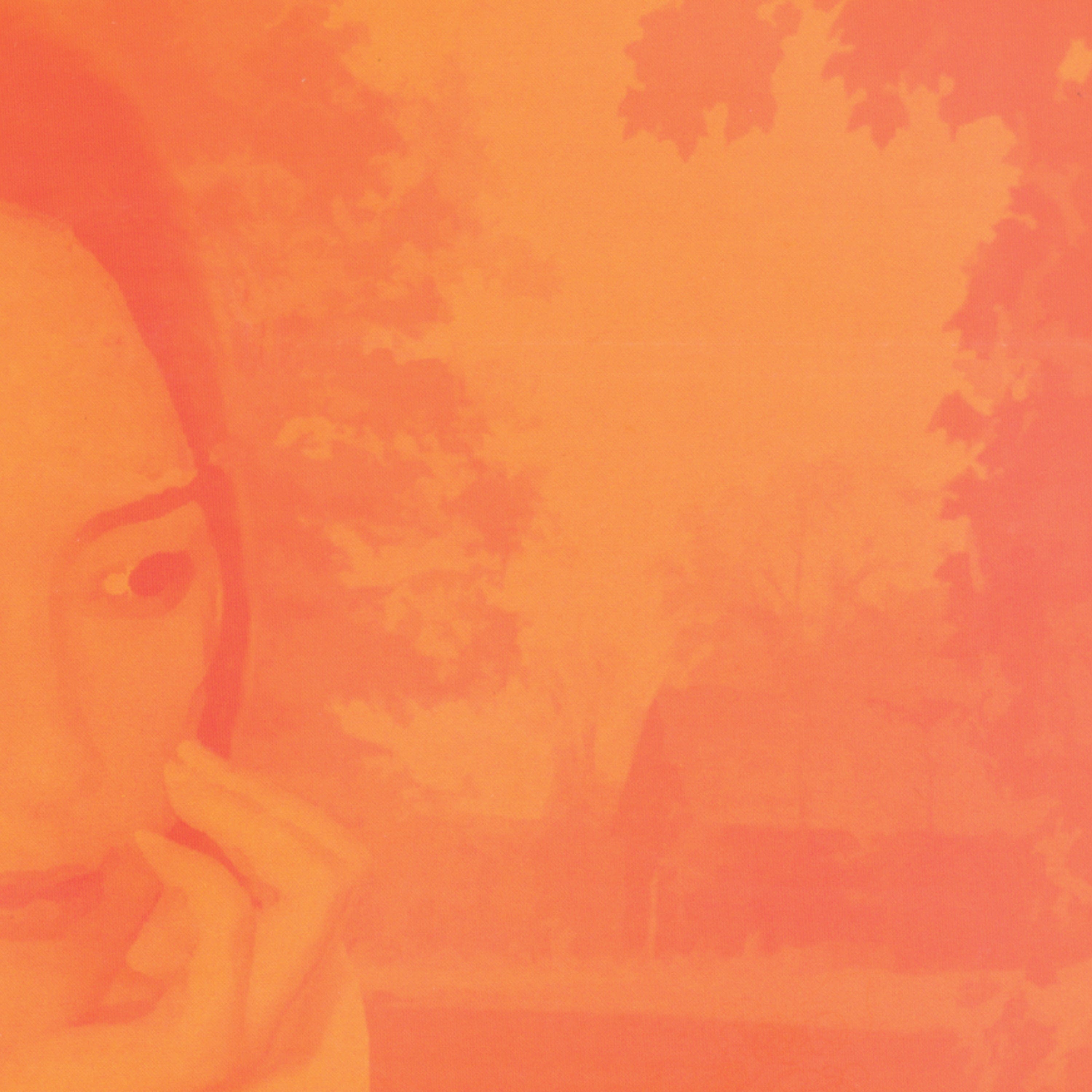 DJNOTADJ - Deep Roots In Shallow Ground (20th Anniversary) (2xLP - Orange Vinyl) Mixtape Meditation Records