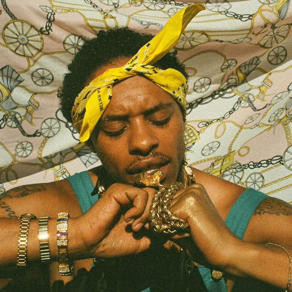 Pink Siifu - Ensley (2xLP) Pink Siifu