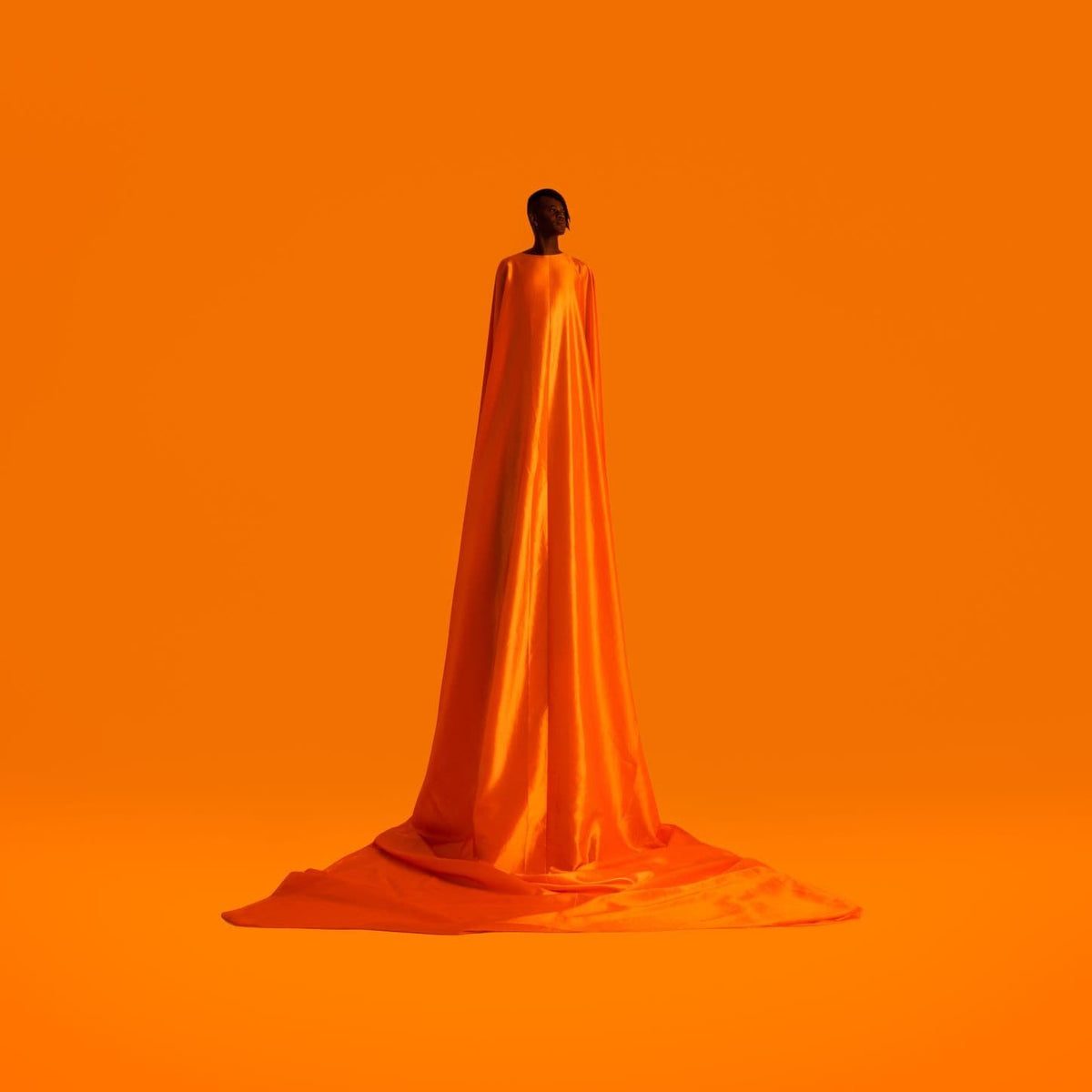 Wayne Snow - Figurine (LP) Roche Musique