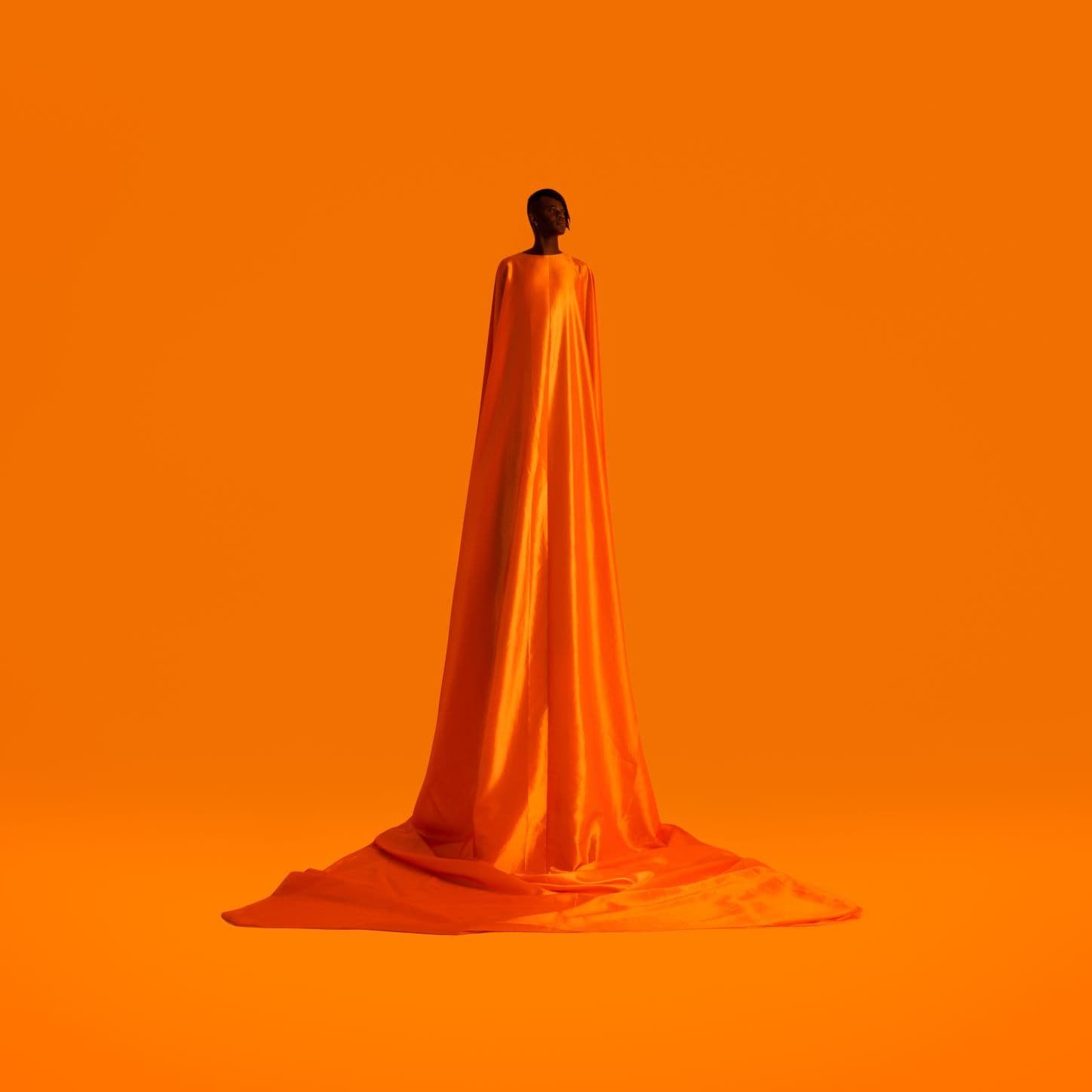 Wayne Snow - Figurine (LP) Roche Musique