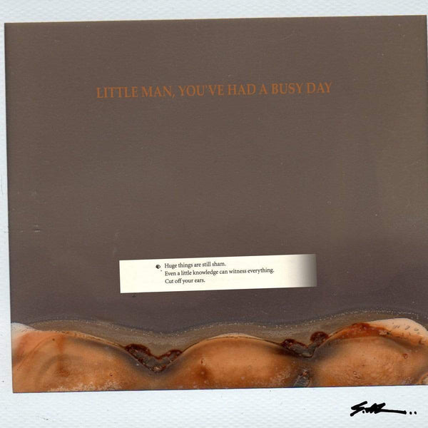 S.al - Little Man, You've Had A Busy Day (LP) Ruby Yacht/The Order Label