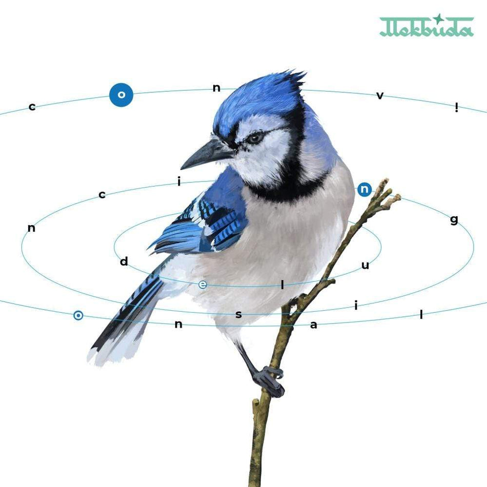 Mekbuda - Convincing Delusional (LP) Ubiquity Recordings