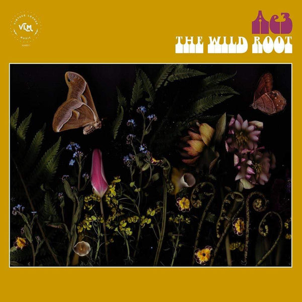 Ae3 (Alan Evans Trio) - The Wild Root (CD) Vintage League Music