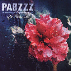 Pabzzz - After The Rain (LP) Vinyl Digital
