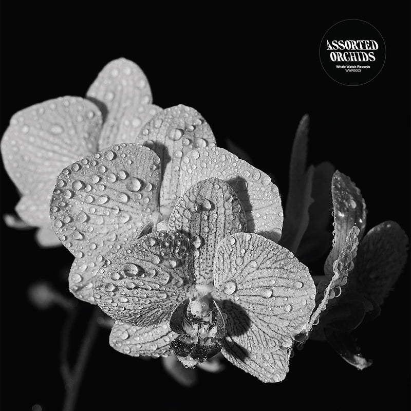 Assorted Orchids - Assorted Orchids (LP - White Vinyl) Whale Watch Records